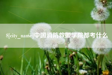 莱州中国消防救援学院都考什么