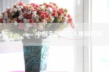 莱州中国失信执行人查询官网