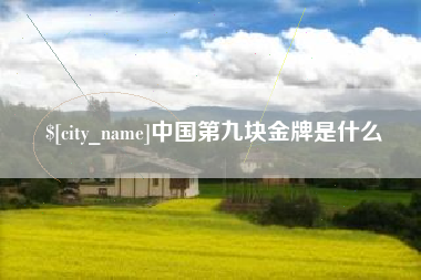 莱州中国第九块金牌是什么