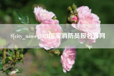 莱州2021国家消防员报名官网