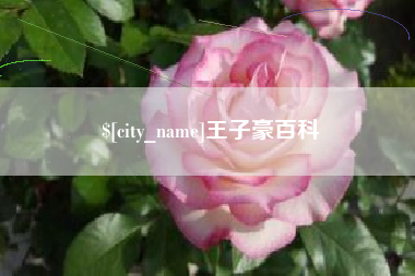 莱州王子豪百科