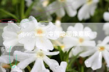 莱州中国地图像素版