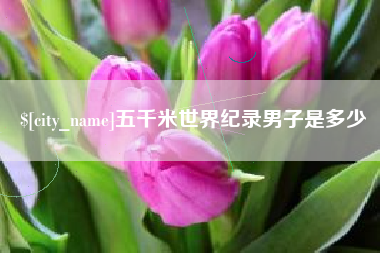 莱州五千米世界纪录男子是多少