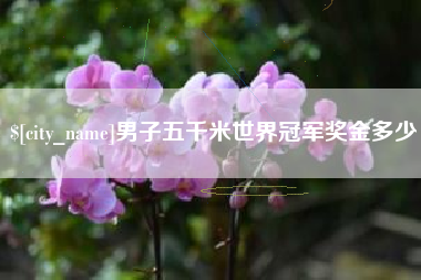 莱州男子五千米世界冠军奖金多少