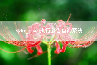 莱州执行公告查询系统
