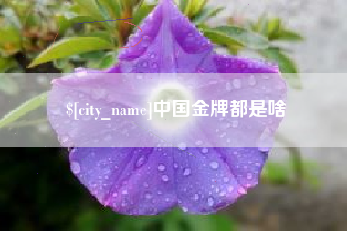 莱州中国金牌都是啥