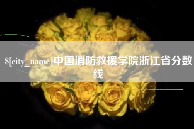 莱州中国消防救援学院浙江省分数线