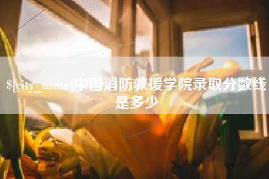莱州中国消防救援学院录取分数线是多少