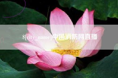 莱州中国消防网直播