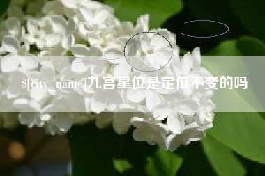 莱州九宫星位是定位不变的吗