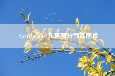 莱州九宫图分割线图片