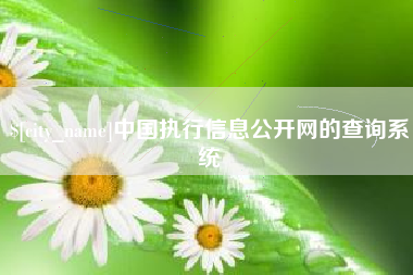 莱州中国执行信息公开网的查询系统