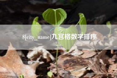 莱州九宫格数字排序