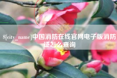 莱州中国消防在线官网电子版消防证怎么查询