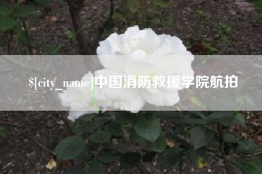 莱州中国消防救援学院航拍
