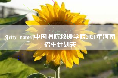 莱州中国消防救援学院2021年河南招生计划表