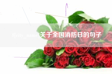 莱州关于全国消防日的句子