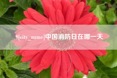 莱州中国消防日在哪一天