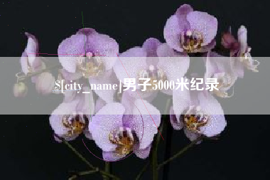 莱州男子5000米纪录