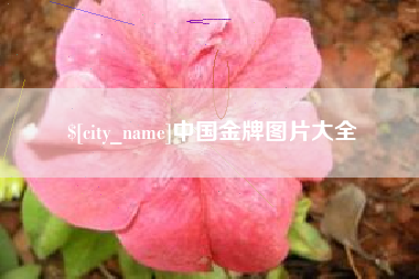 莱州中国金牌图片大全