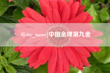 莱州中国金牌第九金