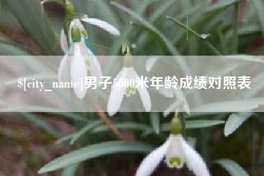 莱州男子5000米年龄成绩对照表
