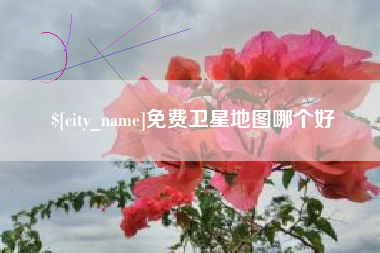莱州免费卫星地图哪个好
