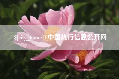 莱州1.中国执行信息公开网
