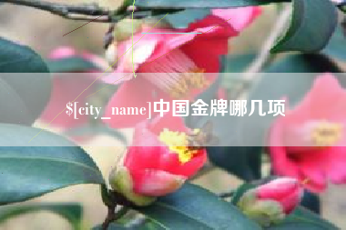莱州中国金牌哪几项