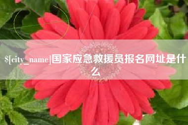 莱州国家应急救援员报名网址是什么