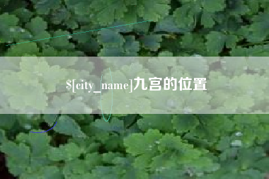 莱州九宫的位置