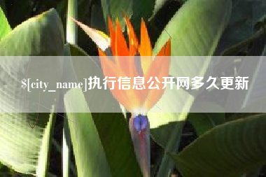 莱州执行信息公开网多久更新