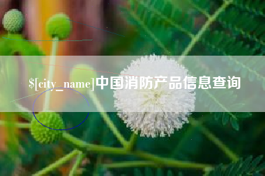 莱州中国消防产品信息查询