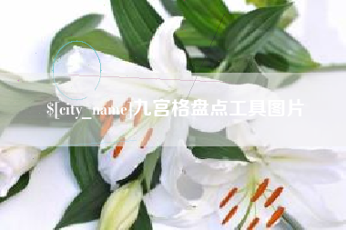 莱州九宫格盘点工具图片