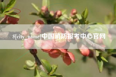 莱州中国消防报考中心官网