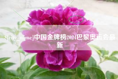 莱州中国金牌榜2024巴黎奥运会最新