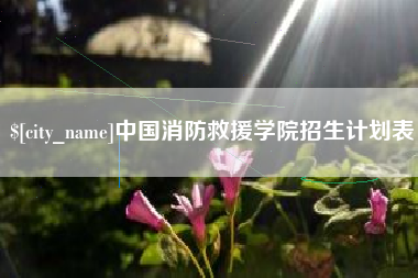 莱州中国消防救援学院招生计划表