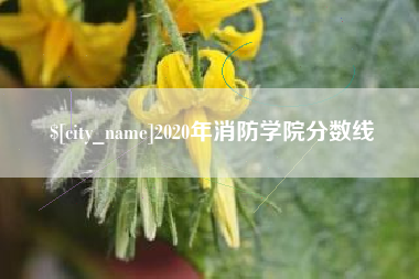 莱州2020年消防学院分数线