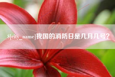 莱州我国的消防日是几月几号？