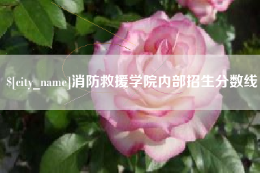 莱州消防救援学院内部招生分数线