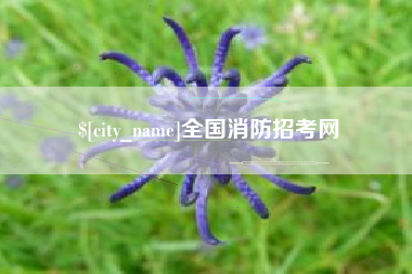 莱州全国消防招考网