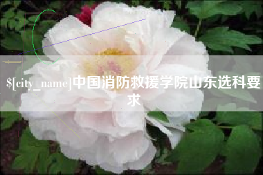 莱州中国消防救援学院山东选科要求