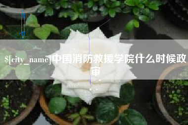 莱州中国消防救援学院什么时候政审