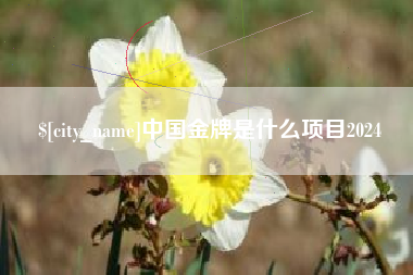 莱州中国金牌是什么项目2024