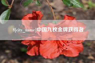 莱州中国九枚金牌获得者