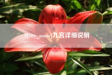 莱州九宫详细说明