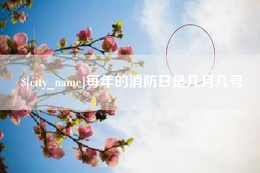 莱州每年的消防日是几月几号