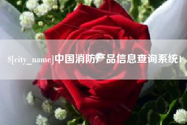 莱州中国消防产品信息查询系统1