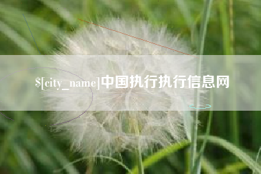 莱州中国执行执行信息网