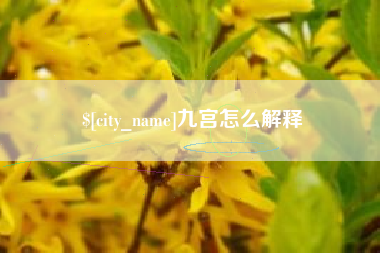 莱州九宫怎么解释